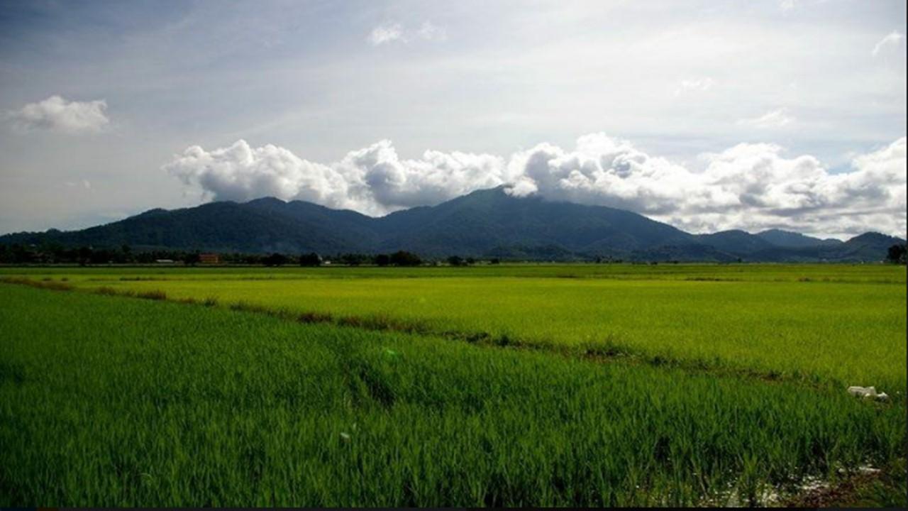 Barakah Homestay Alor Setar Bagian luar foto
